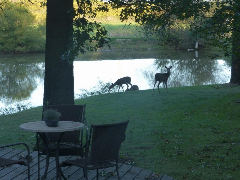 The Inn at White Oak Image 44